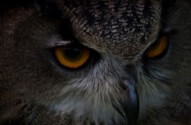 Игра «Что? Где? Когда?» в Исследовательском центре