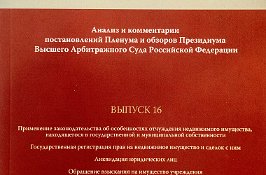 Практика рассмотрения коммерческих споров: Анализ и комментарии постановлений Пленума и обзоров Президиума Высшего Арбитражного Суда Российской Федерации. Вып. 16